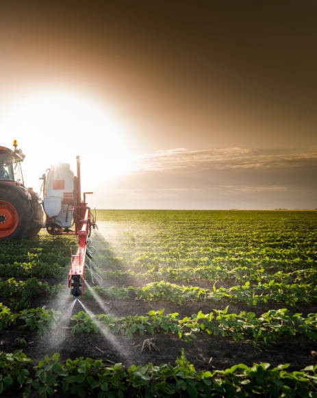 Tractor spraying pesticides on soy field  with sprayer at spring
